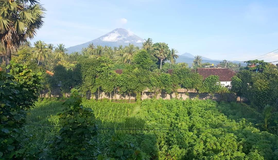 Black Sand Hostel Amed Екстер'єр фото